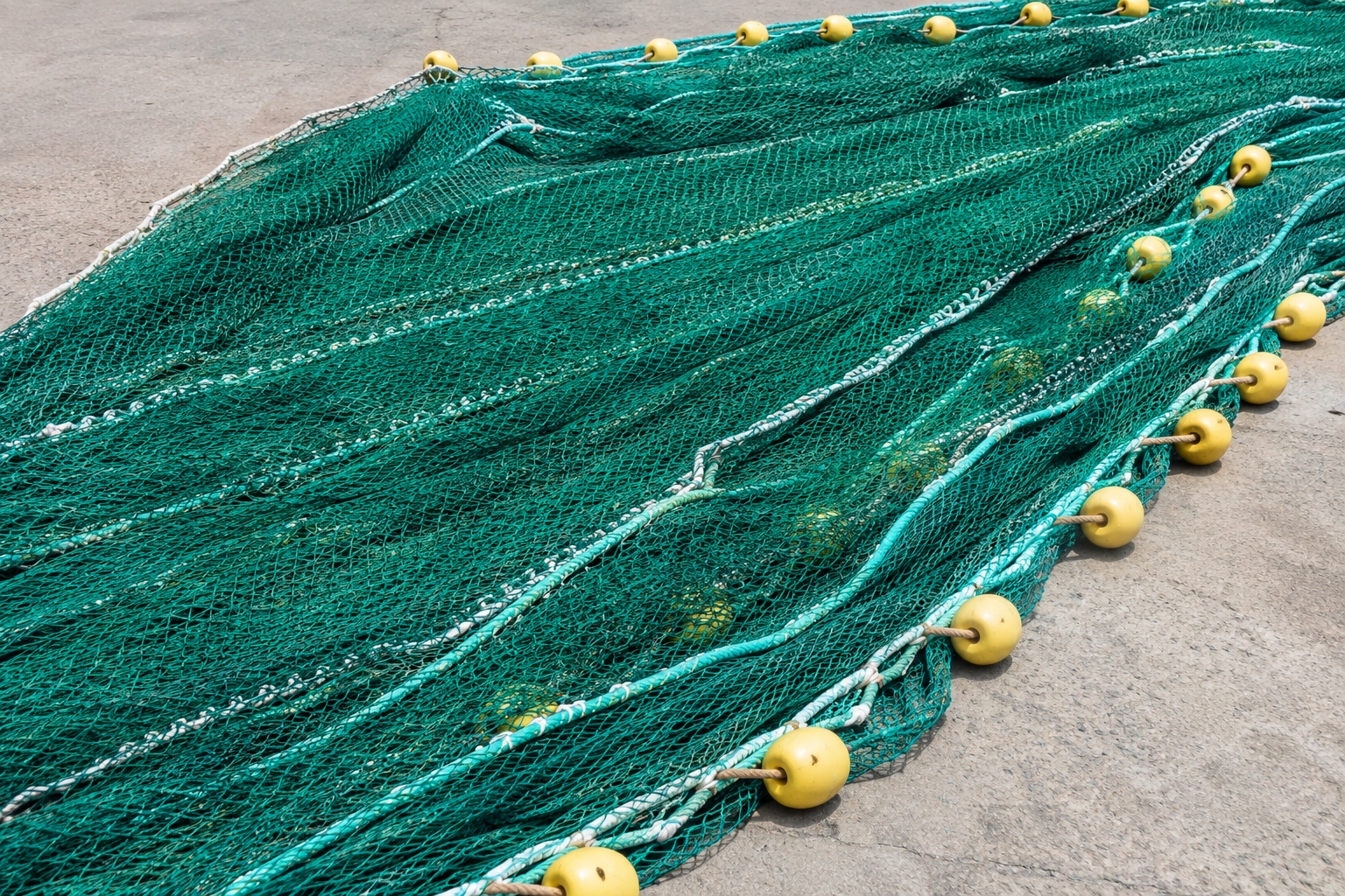 KK Fishnets Product